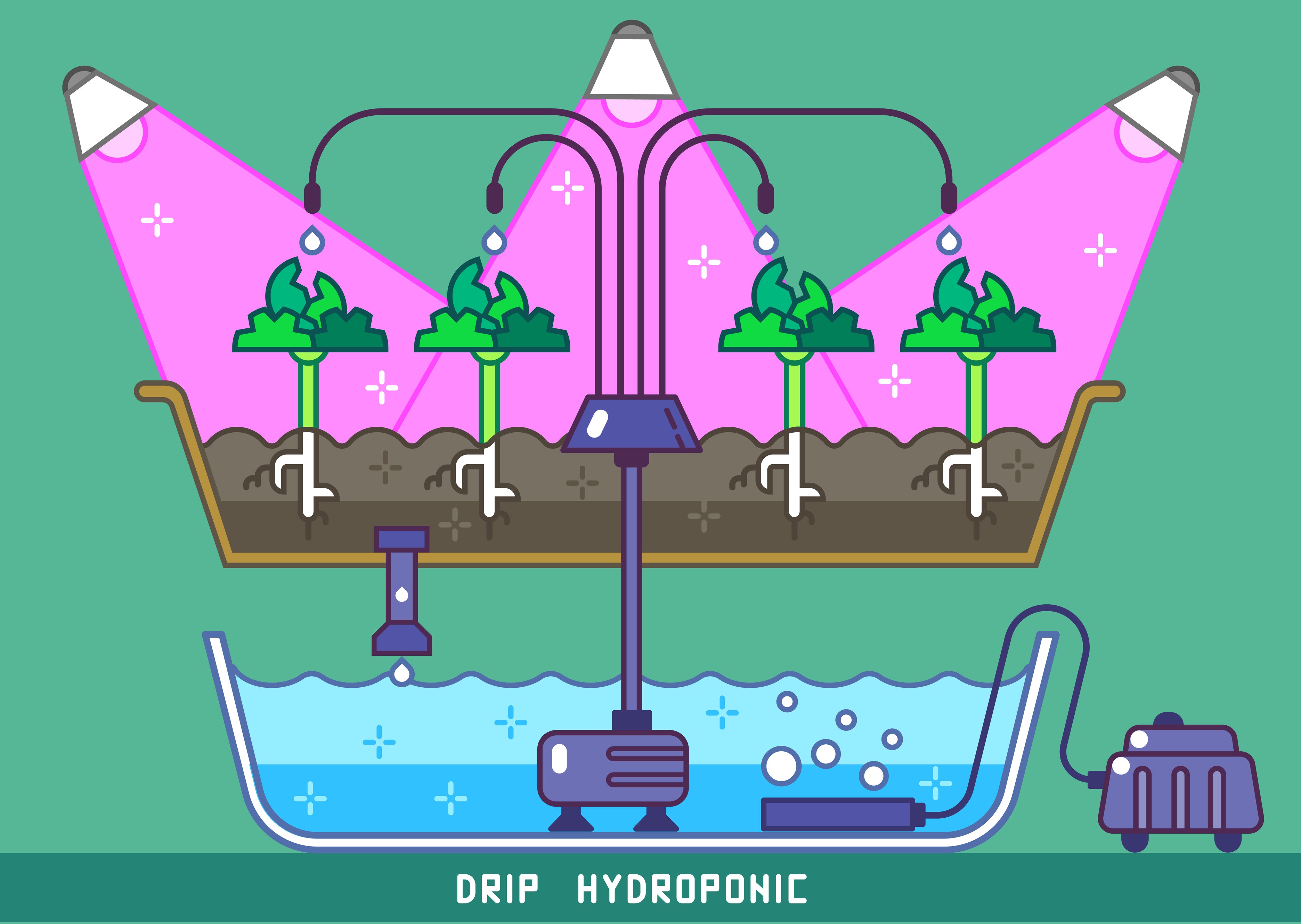 Hydroponic Drip System Explained and How to Build Proponics