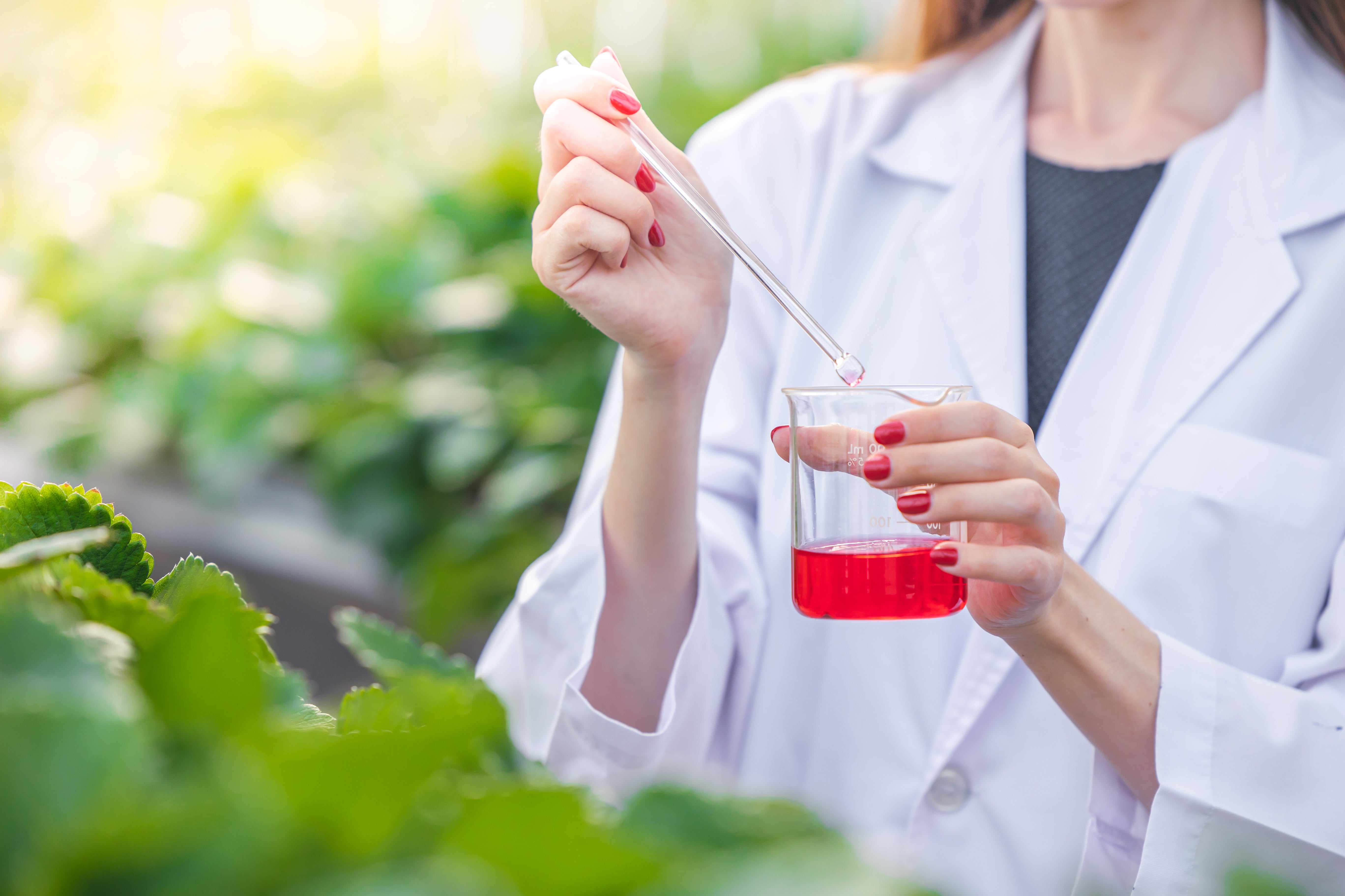Hydroponic Fertiliser Explained