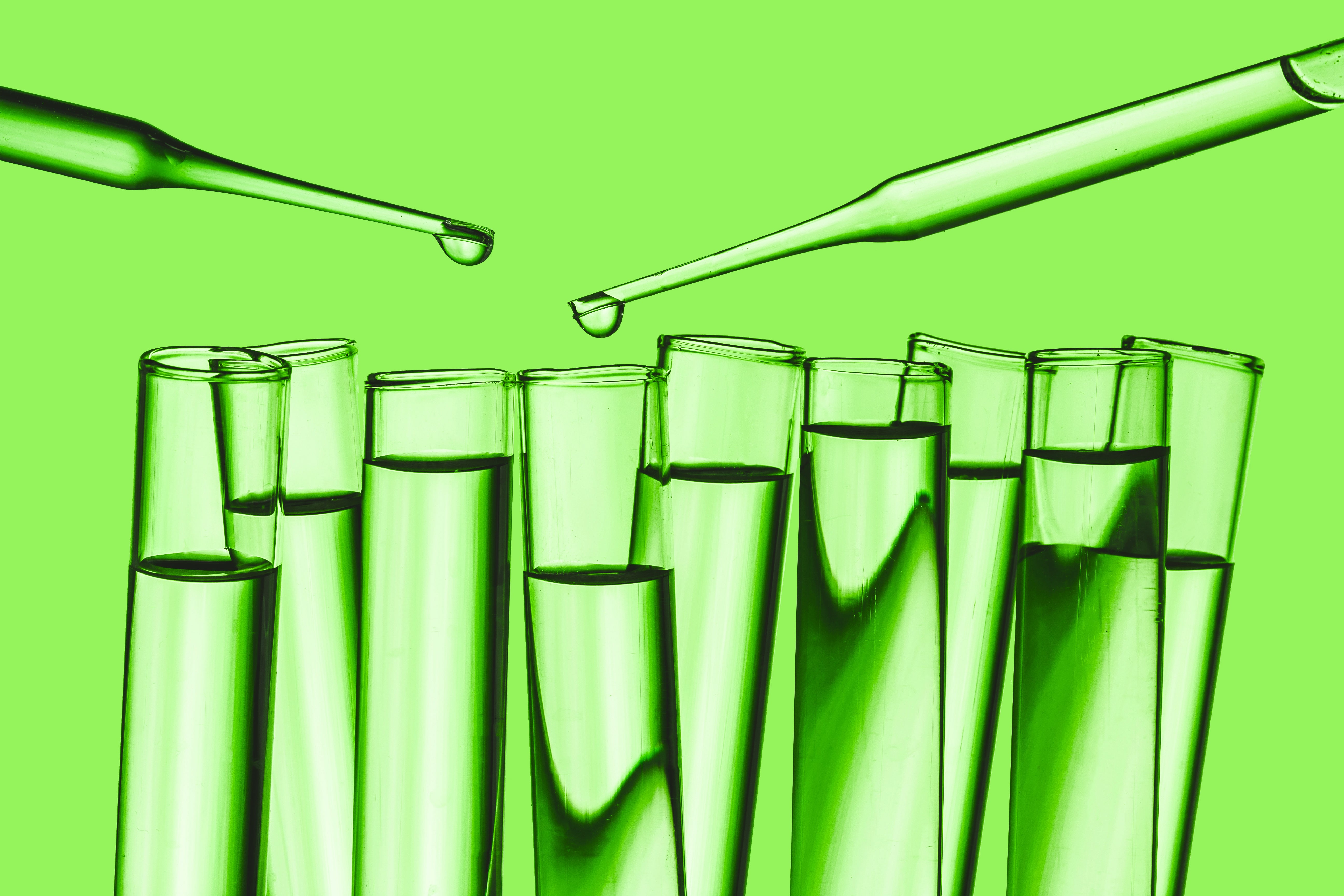 Hydroponic Nutrients Guide for Beginners