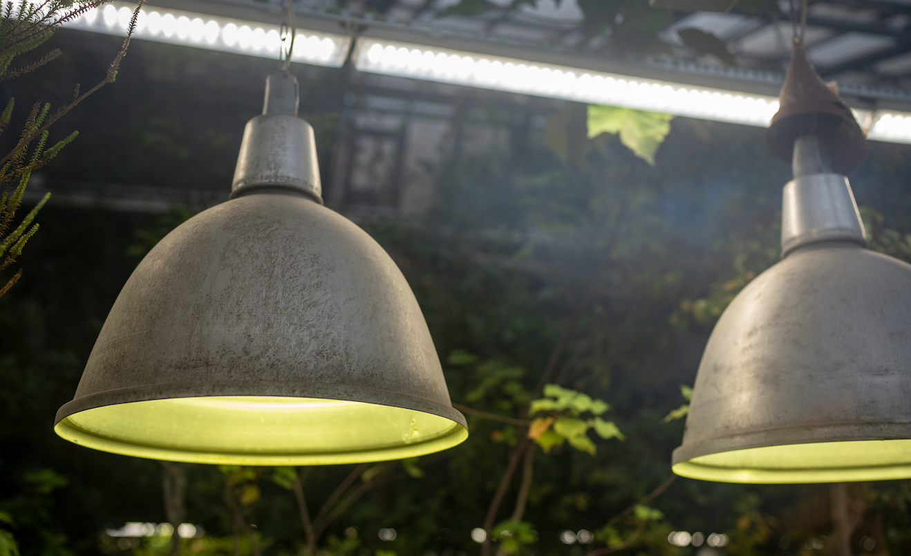 What is Light Intensity and How is it Used?
