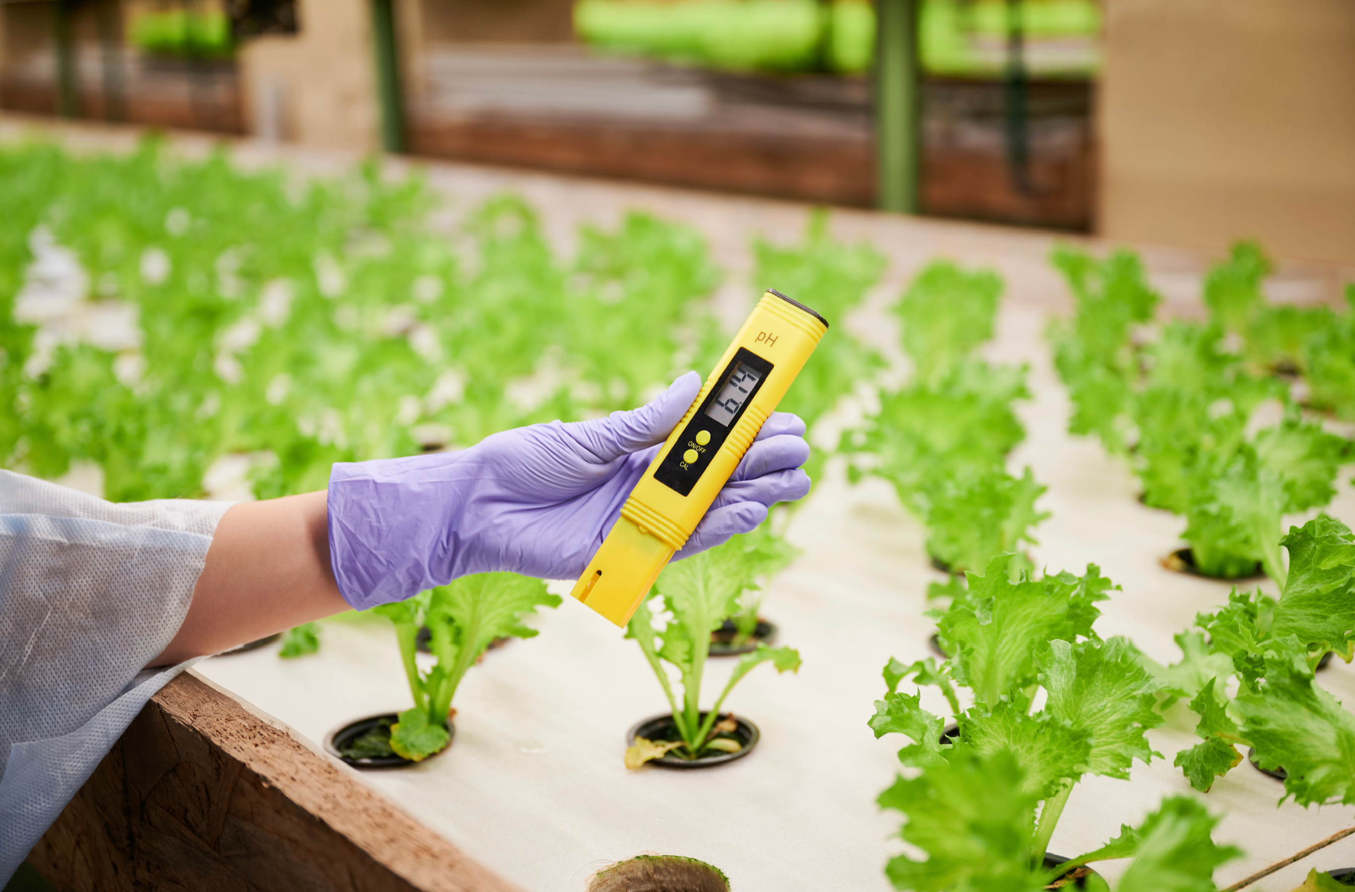 Monitoring pH and EC/PPM How-to
