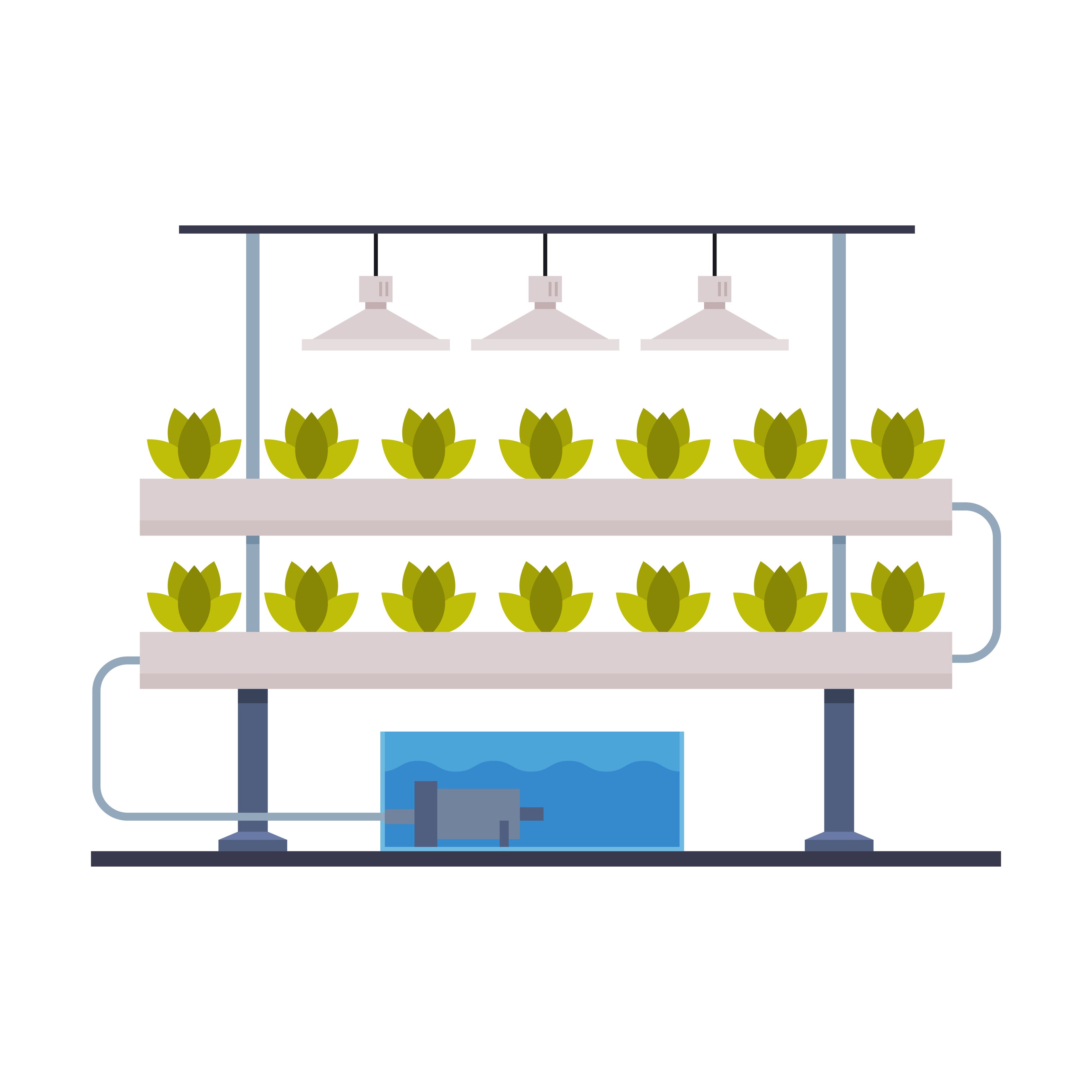Types of Hydroponic Systems Explained Proponics