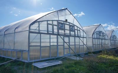 The Hydroponic Greenhouse - Hydroponics Using Sunlight