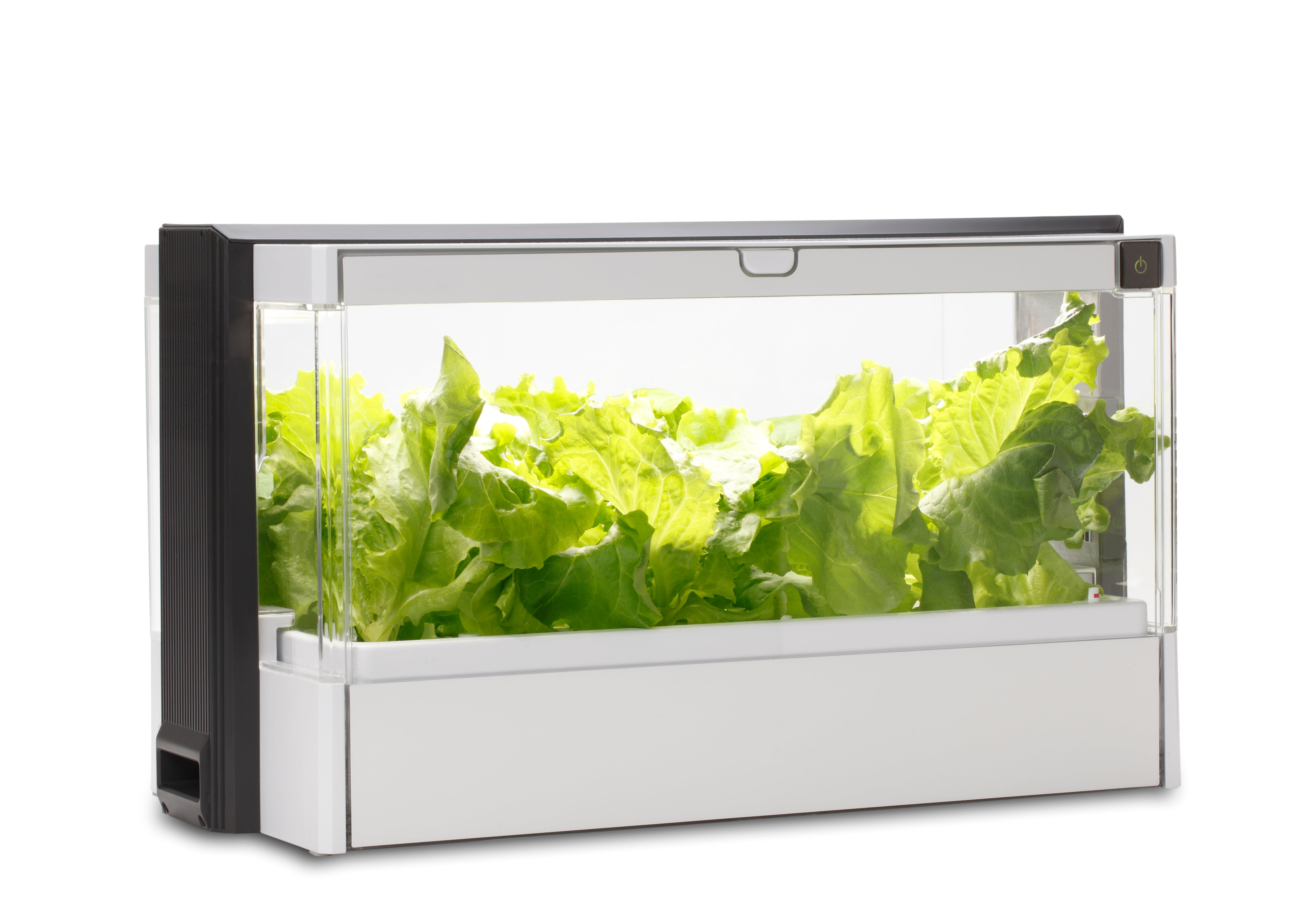 Hydroponic Herb Garden Kit A Great Alternative To DIY Proponics   Hydroponic Herb Garden Kit Kit 