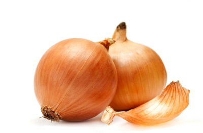 Hydroponic Onions - A Grower’s Guide