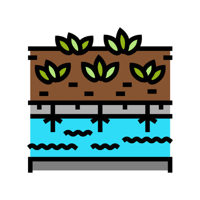Hydroponic Water Temperature: The Basics