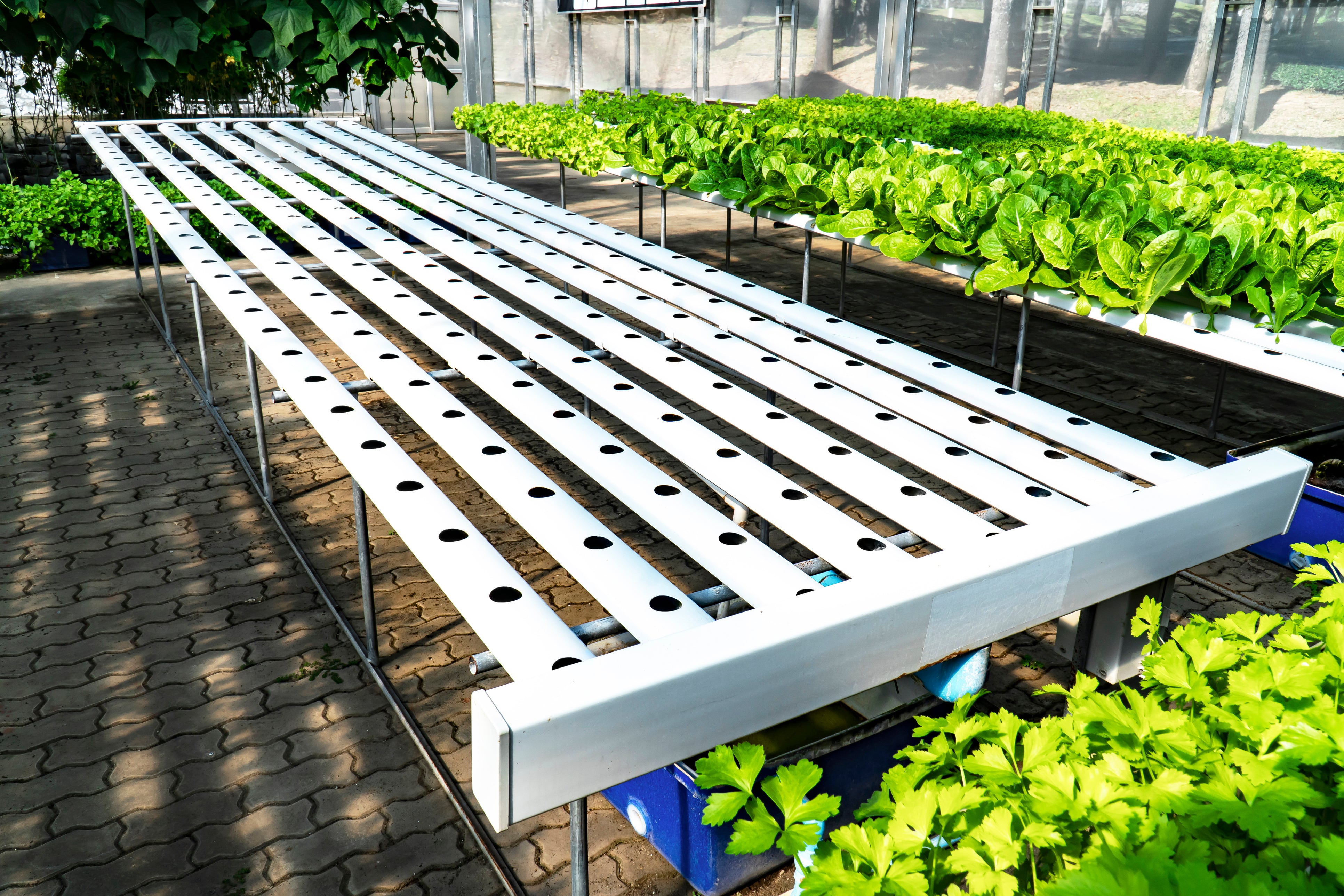 NFT Hydroponic System Explained – Proponics
