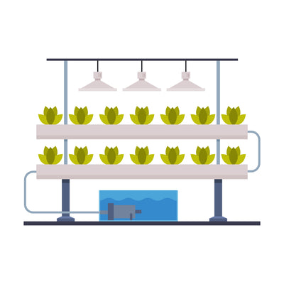 Types of Hydroponic Systems Explained